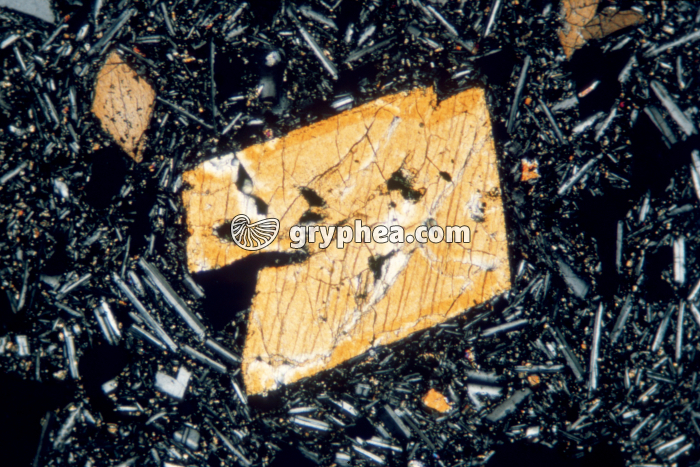 Pyroxène dans basalte LPA x20 - gryphea.com